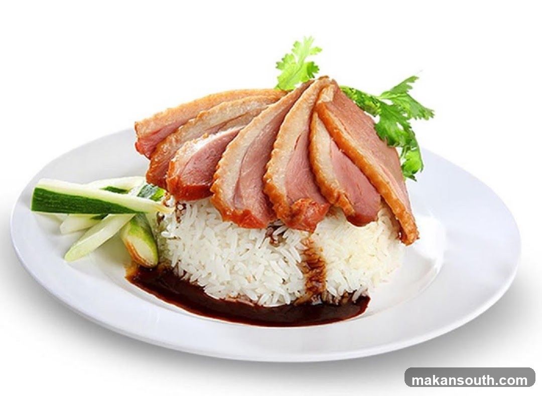 Roast Duck Rice with Cucumber and Sauce