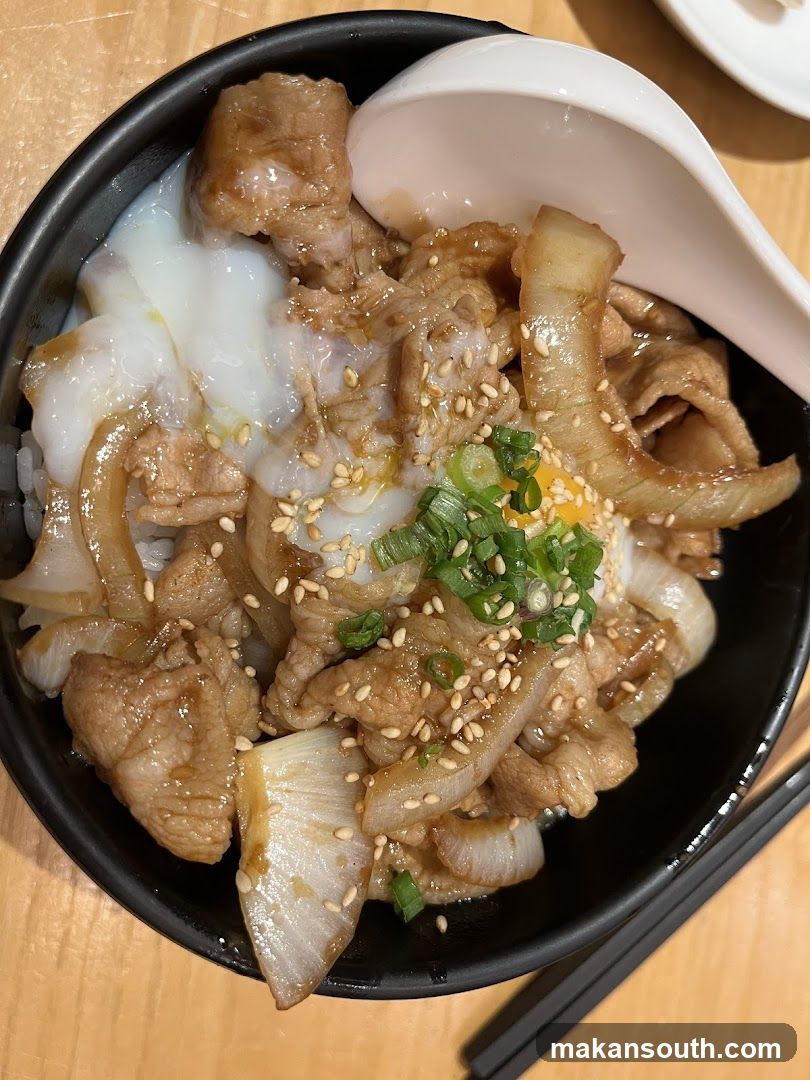 Bowl of Pork Rice with Egg and Onions