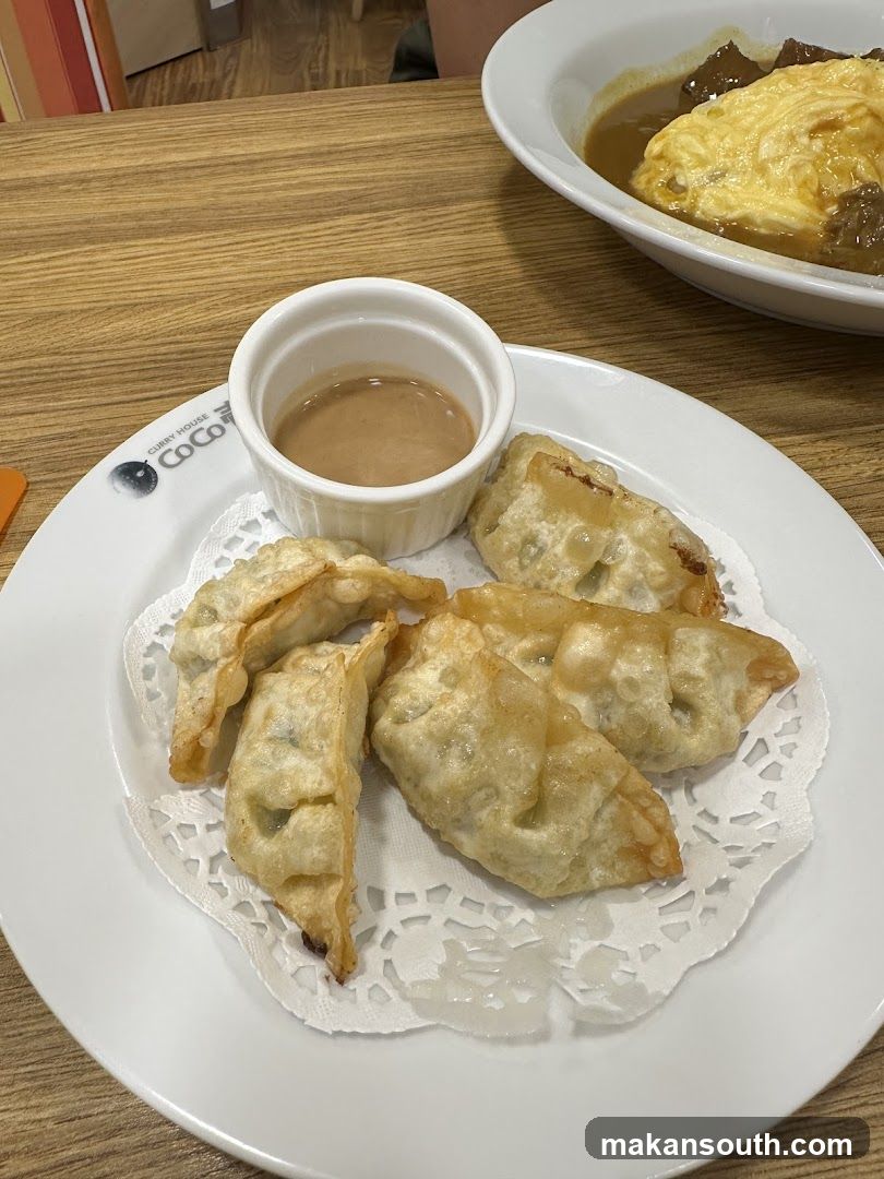 Fried Dumplings with Sauce