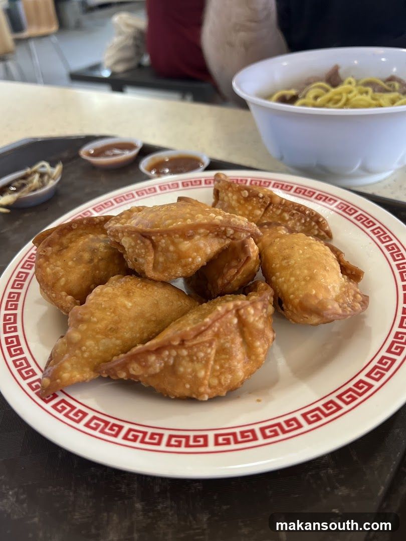 Fried Dumplings and Noodle Soup