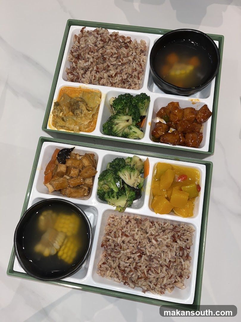 Healthy Meal Tray