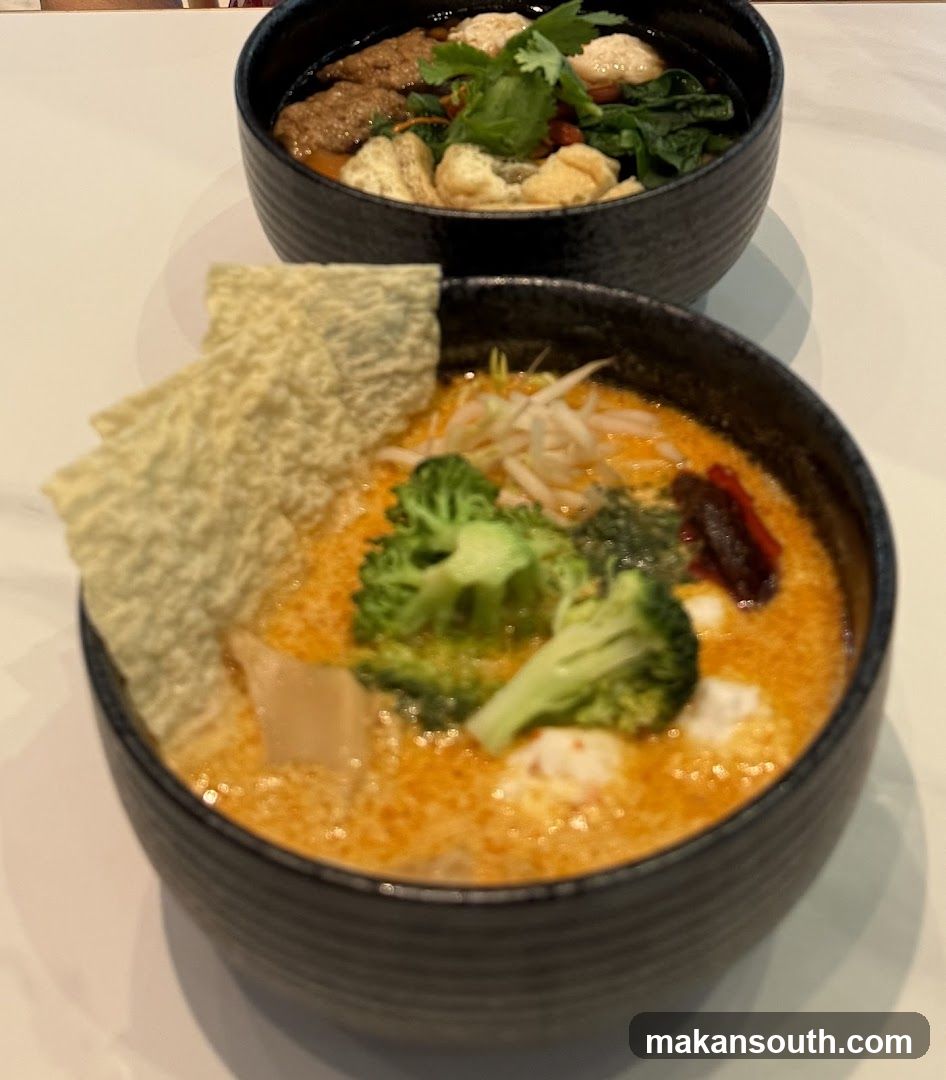 Bowl of Soup with Broccoli and Crispy Skin