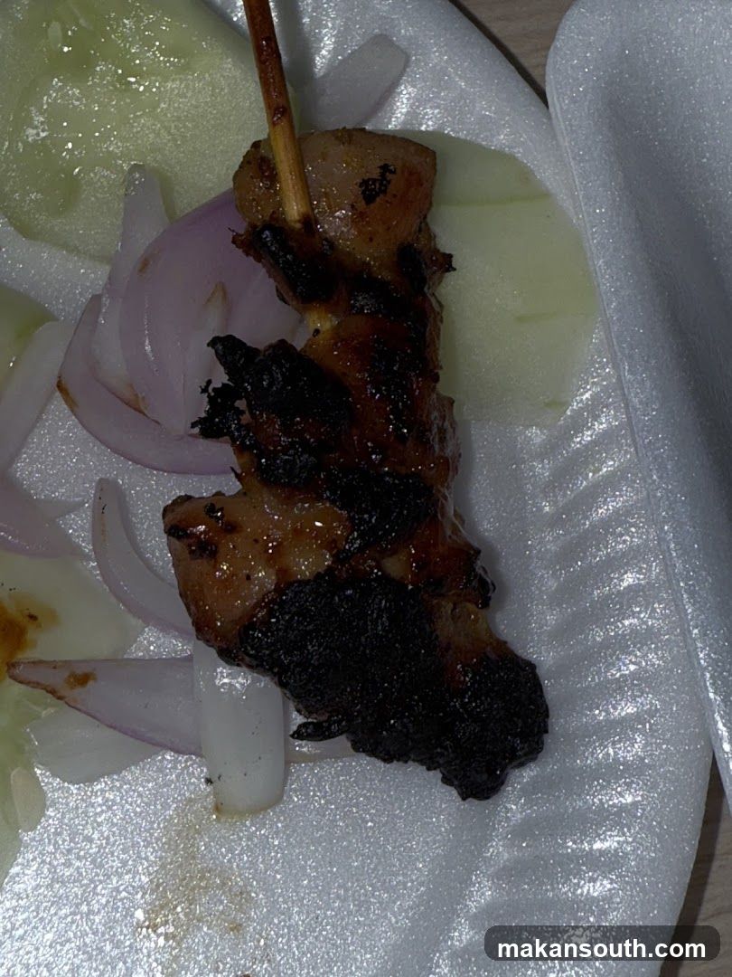 Grilled Meat Skewer with Onions and Cucumber