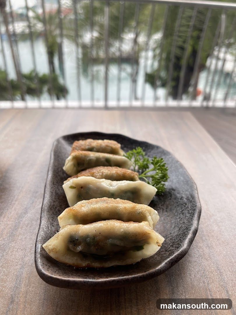 Gyoza on a wooden table with water view