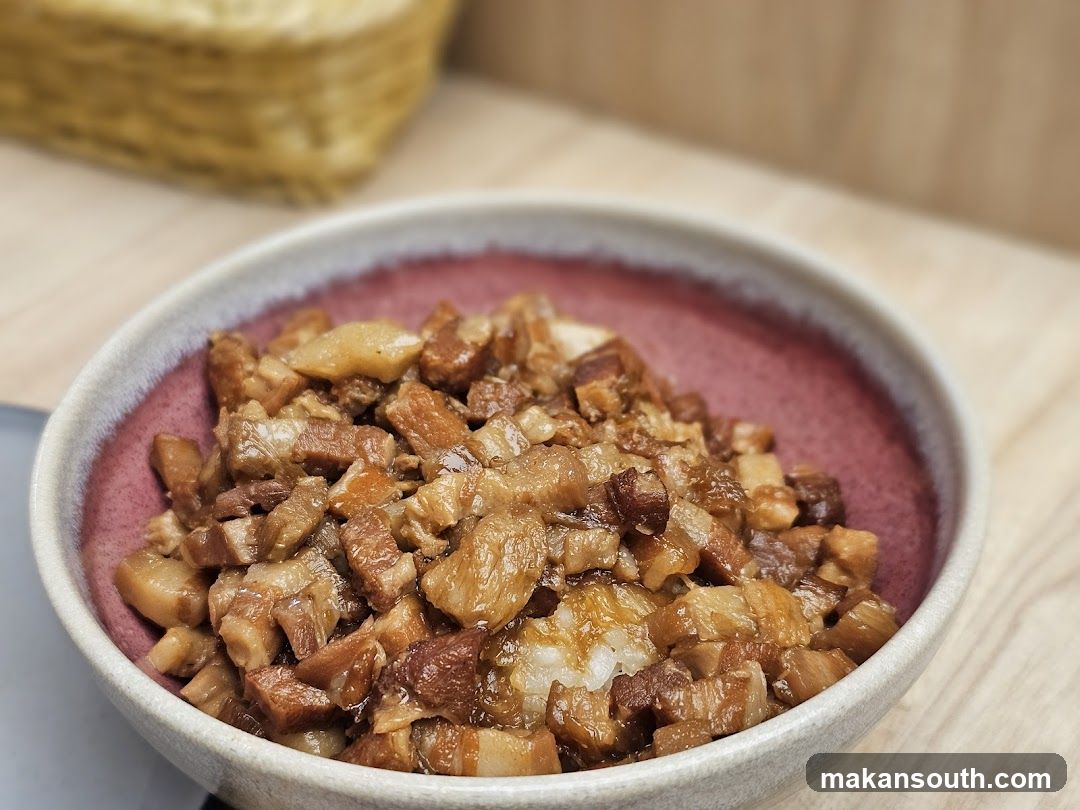 Bowl of Braised Pork Rice