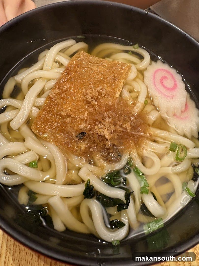 Udon Noodle Soup