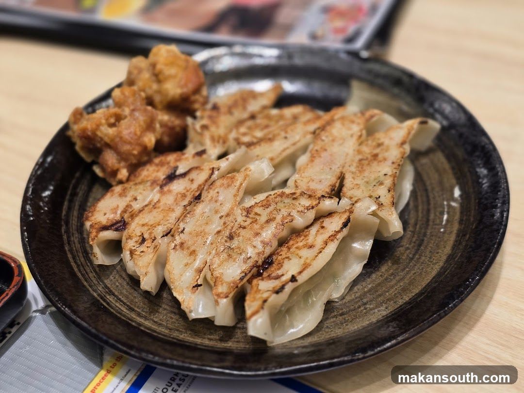 Gyoza and Fried Chicken on a Plate