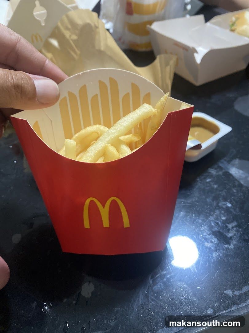 McDonald's Meal with Ice Cream and Fries