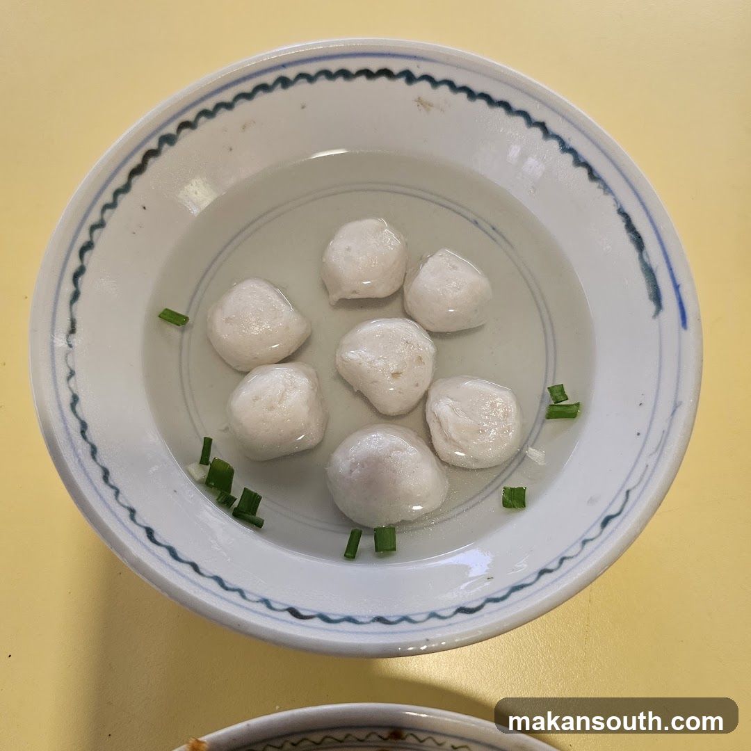Bowl of Fish Balls with Green Onions