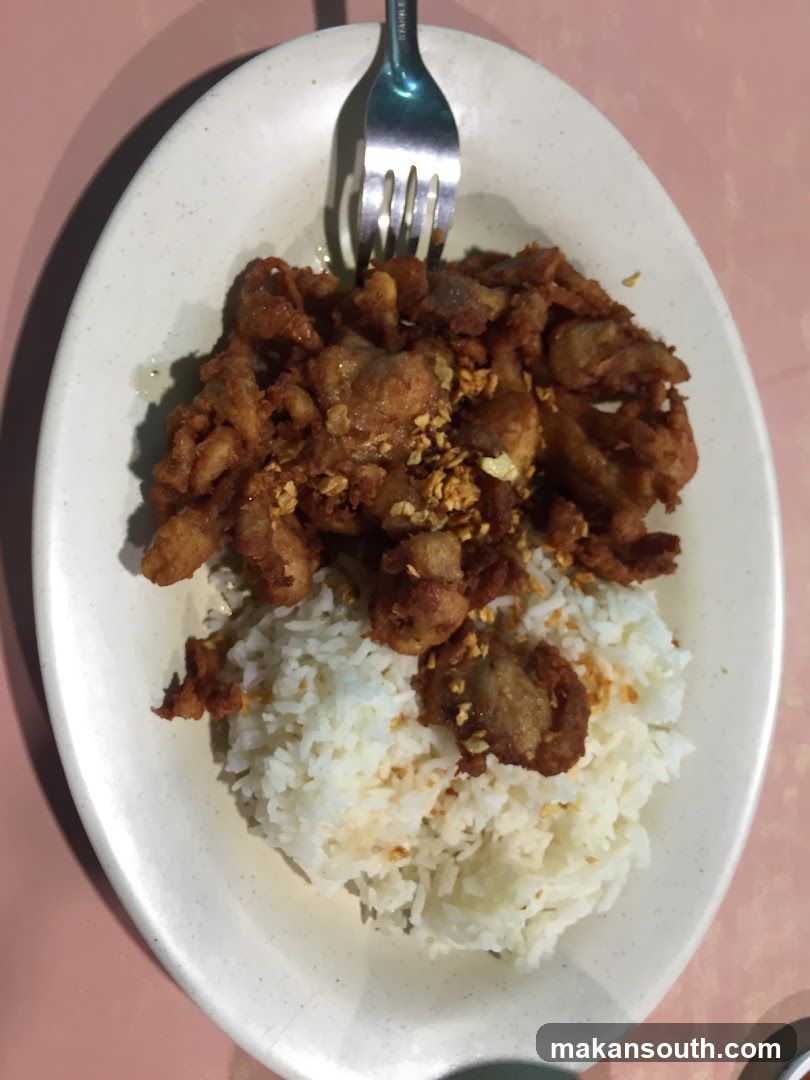 Fried Pork Rice Bowl