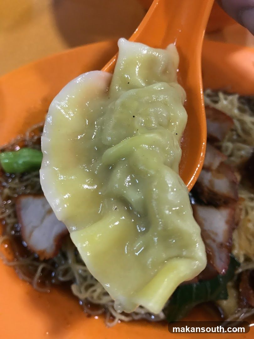 Wonton Noodle Dish