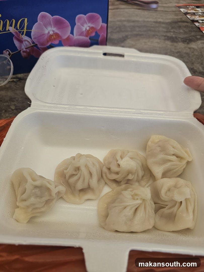 Steamed Dumplings in Takeout Container