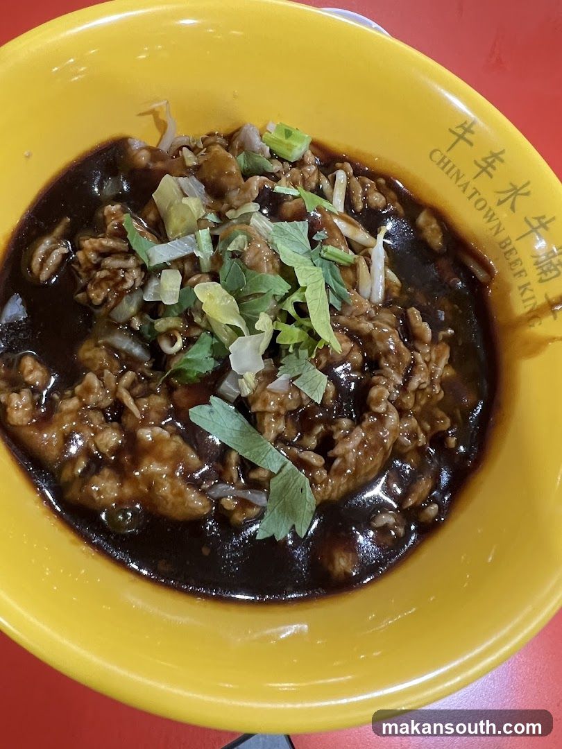 Bowl of Beef Noodle Soup
