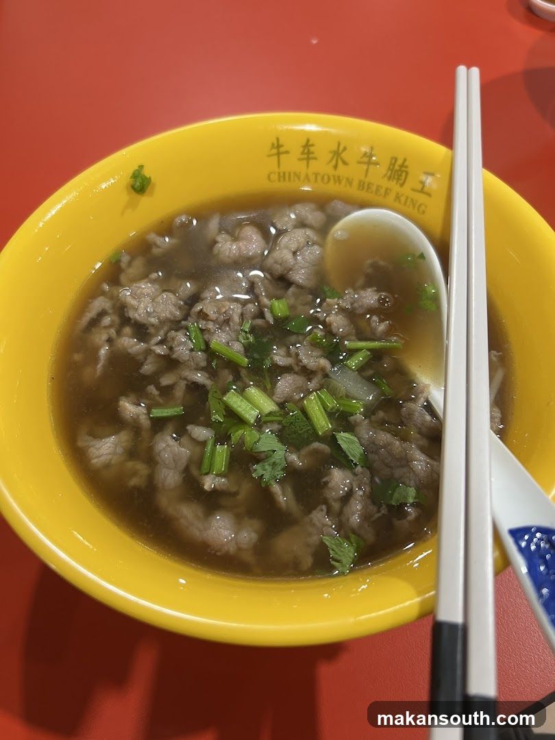 Bowl of Beef Soup with Garnish