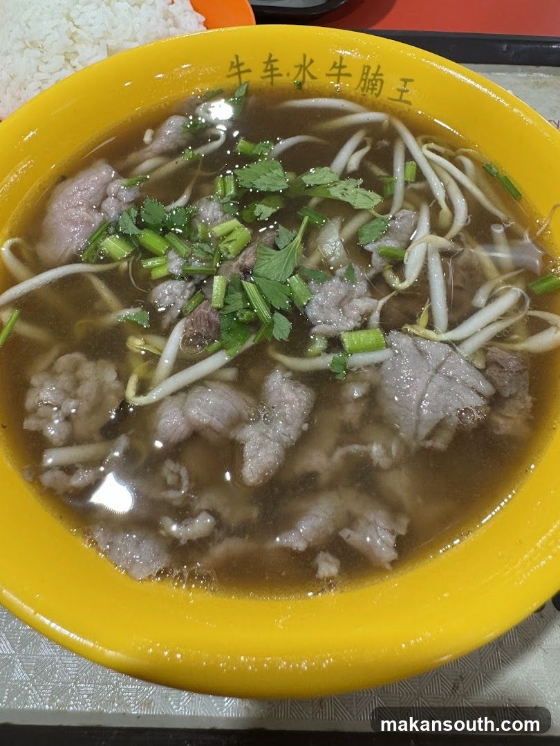 Bowl of Beef Noodle Soup