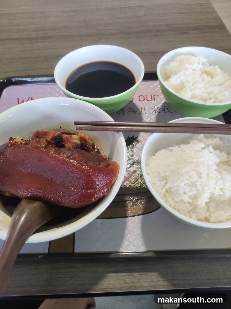 Lunch Tray with Braised Pork and Rice