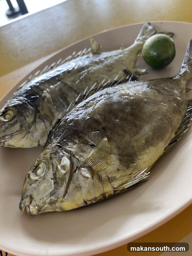 Raw Fish on Plate