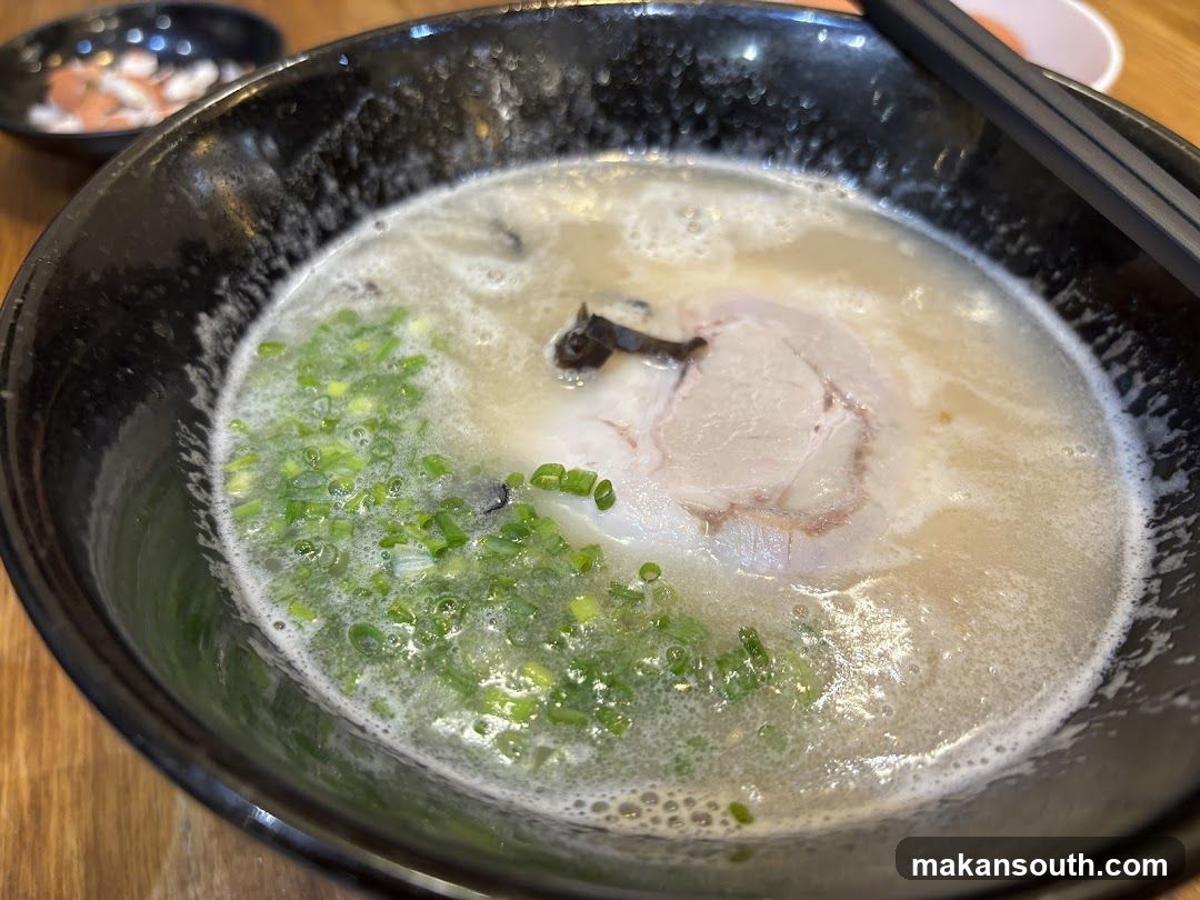 Ramen Bowl with Green Onions and Pork Slice