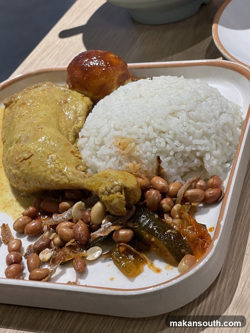 Curry Chicken Rice Meal