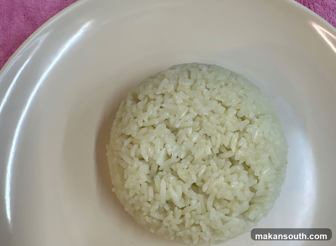 Rice Ball on Plate