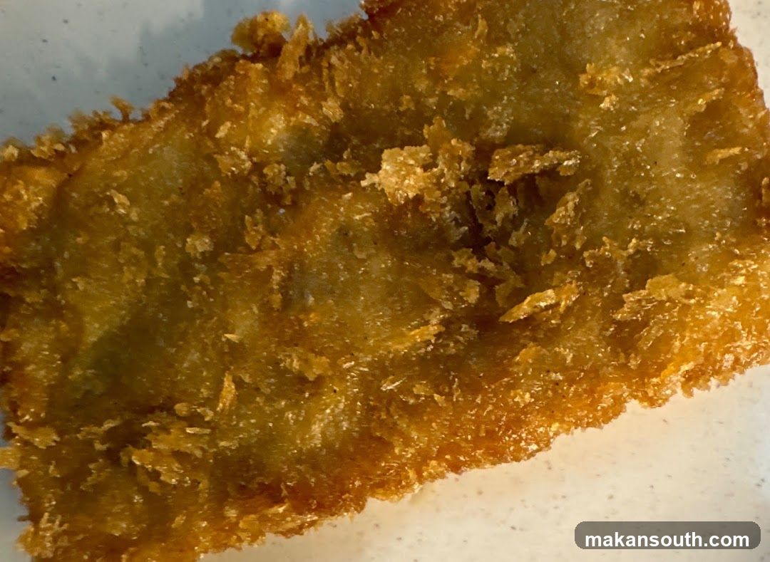 Fried Food Item