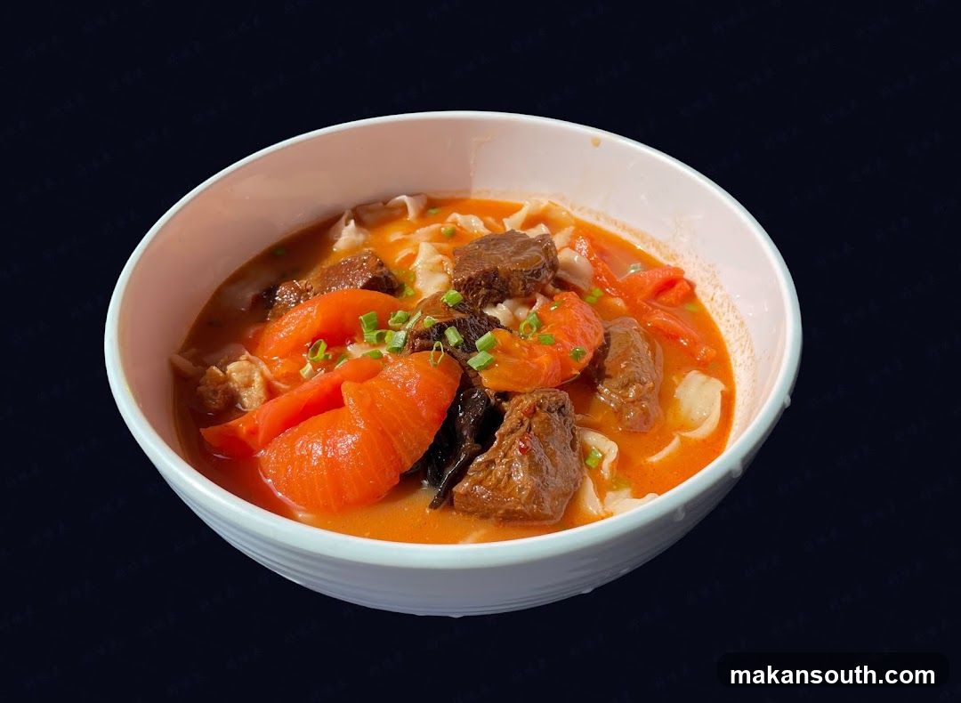 Bowl of Beef and Vegetable Soup