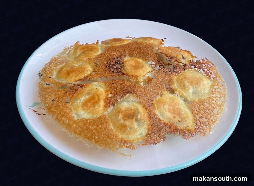 Fried Dumplings on a Plate
