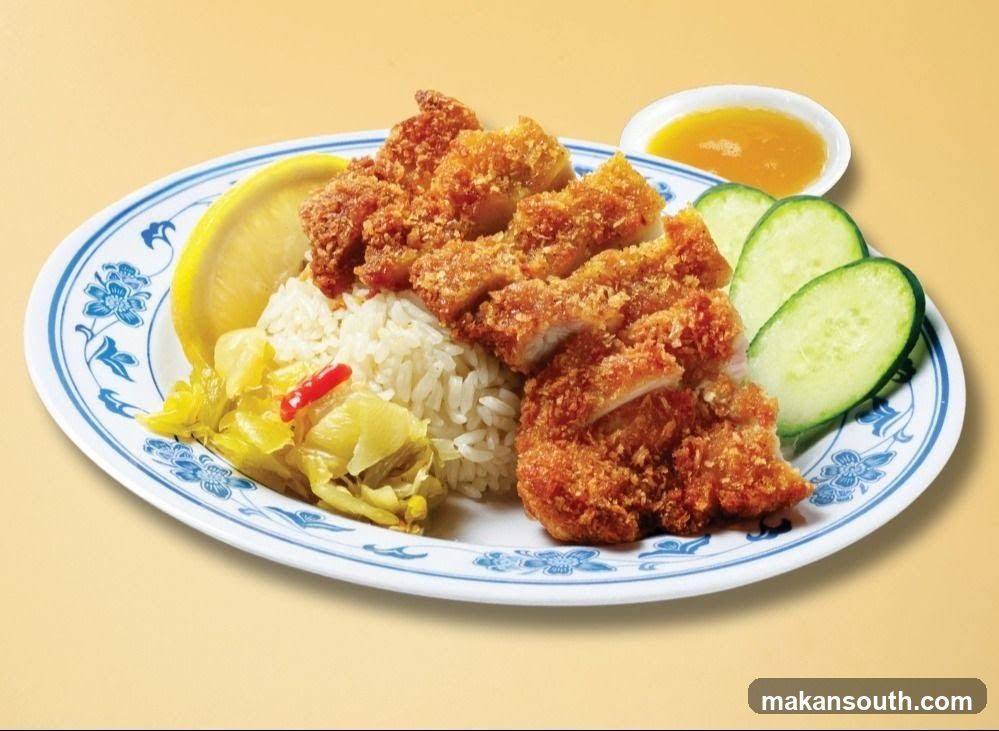 Katsu Rice Plate