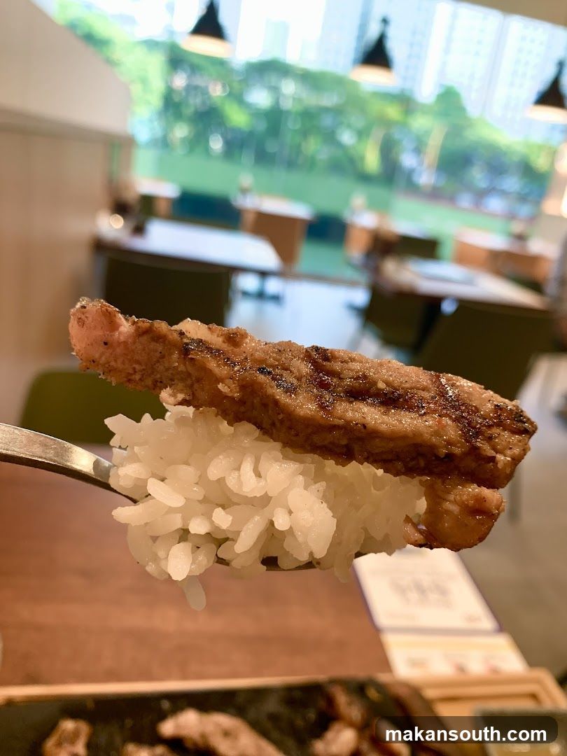 Grilled Meat with Rice