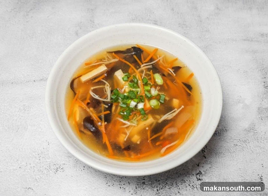 Soup Bowl with Vegetables and Tofu