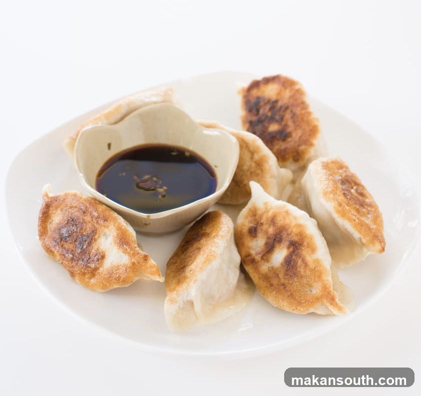Gyoza with Soy Sauce Dip