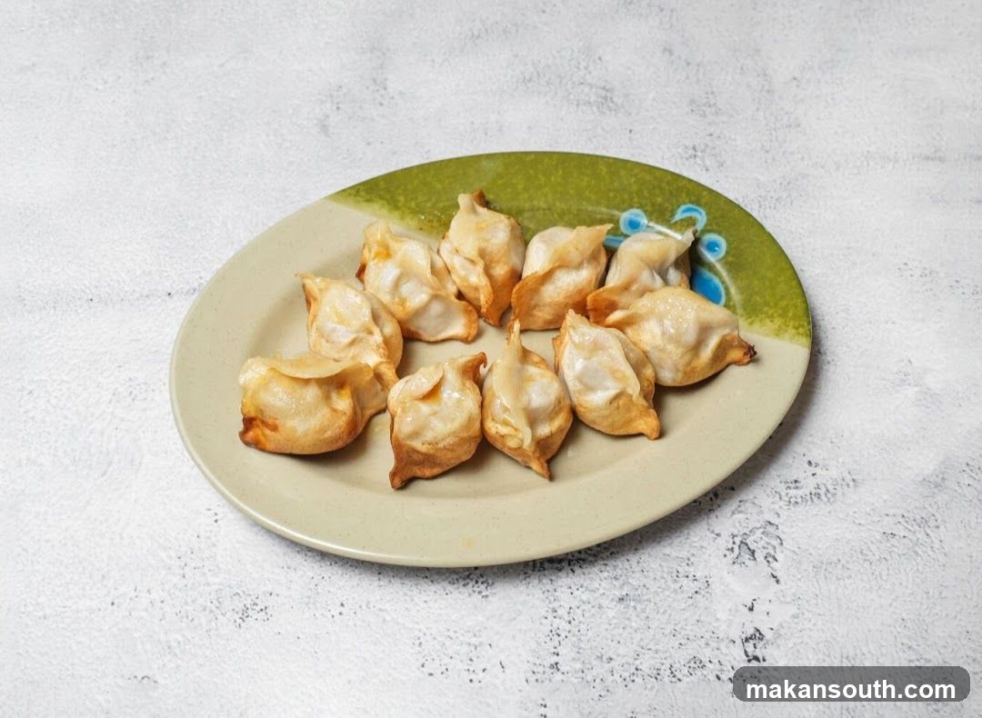 Pan-Fried Dumplings on a Plate