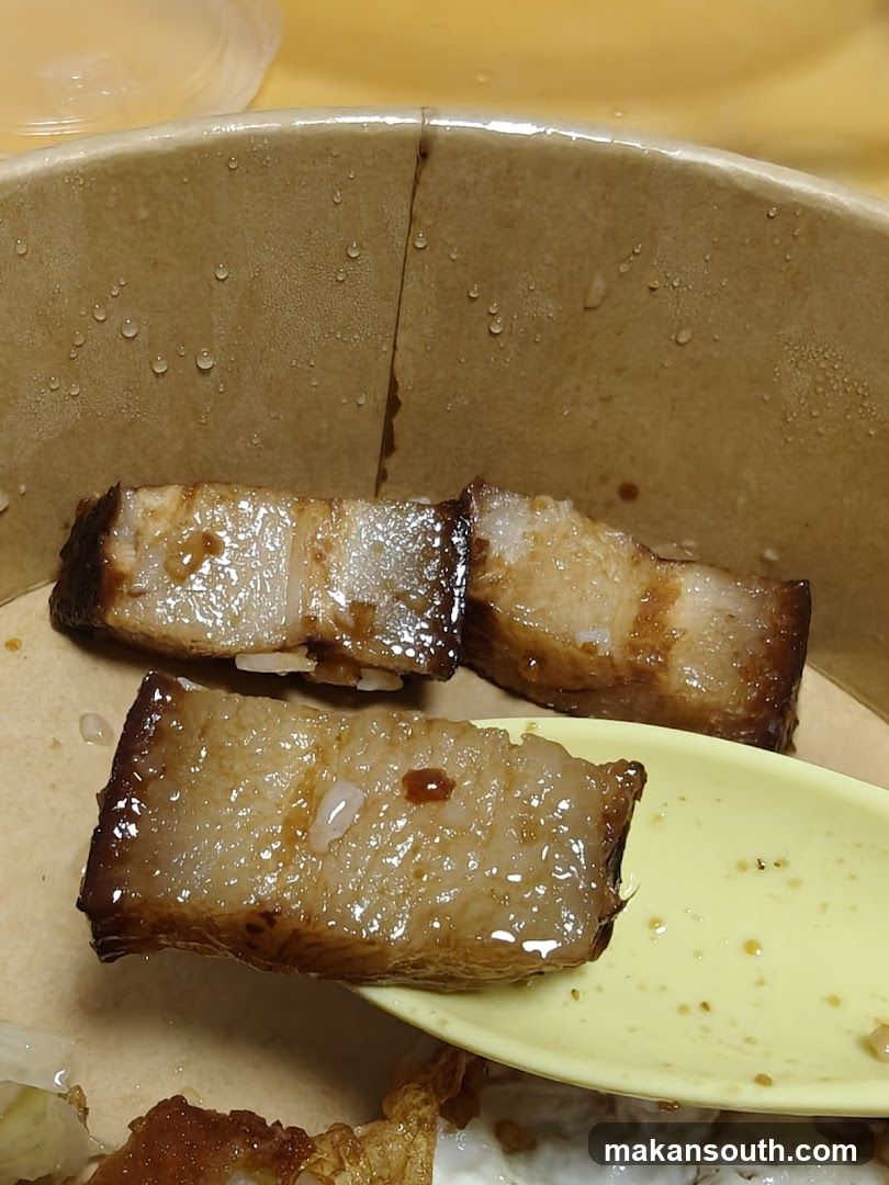 Braised Pork Belly in Takeout Bowl