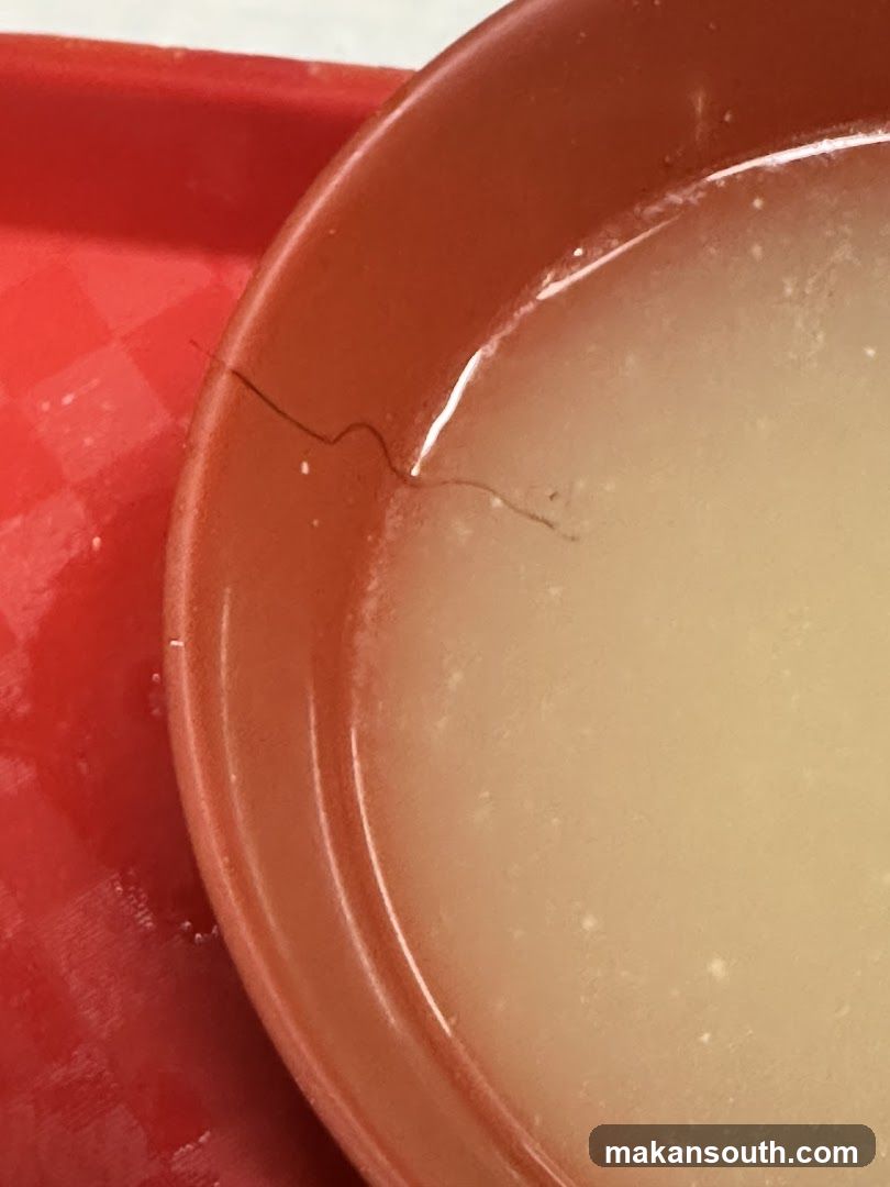 Bowl of Soup with Hair