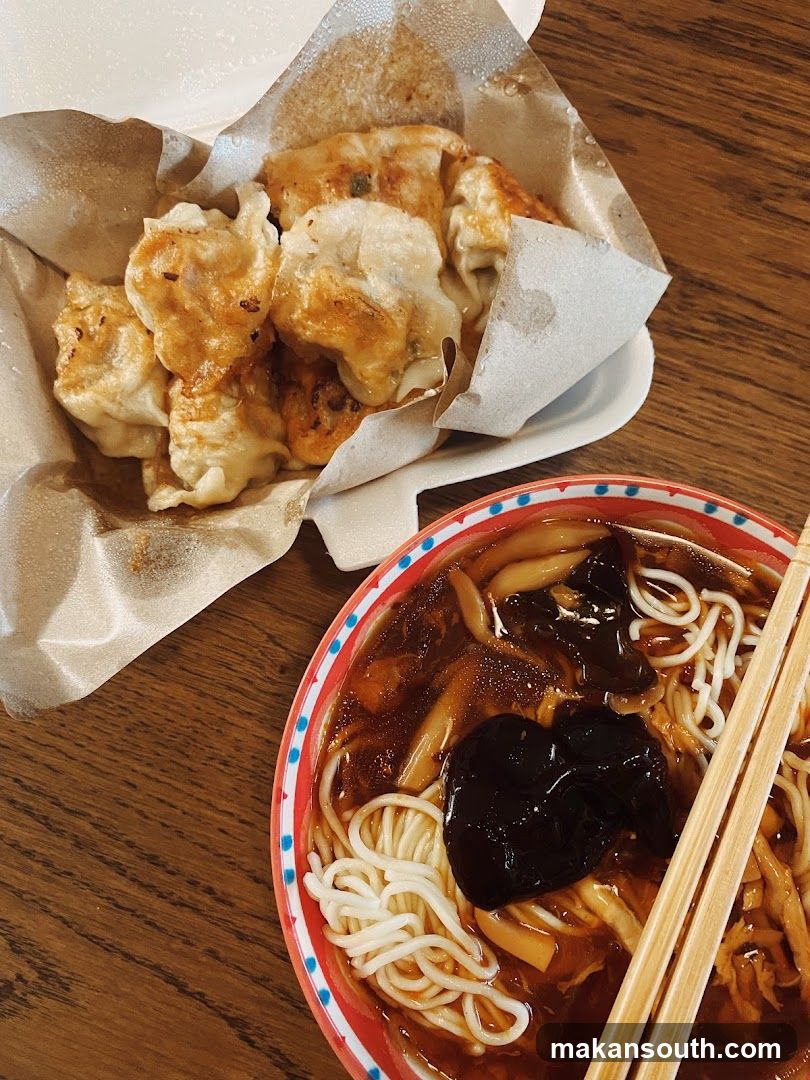Dumplings and Noodles Meal