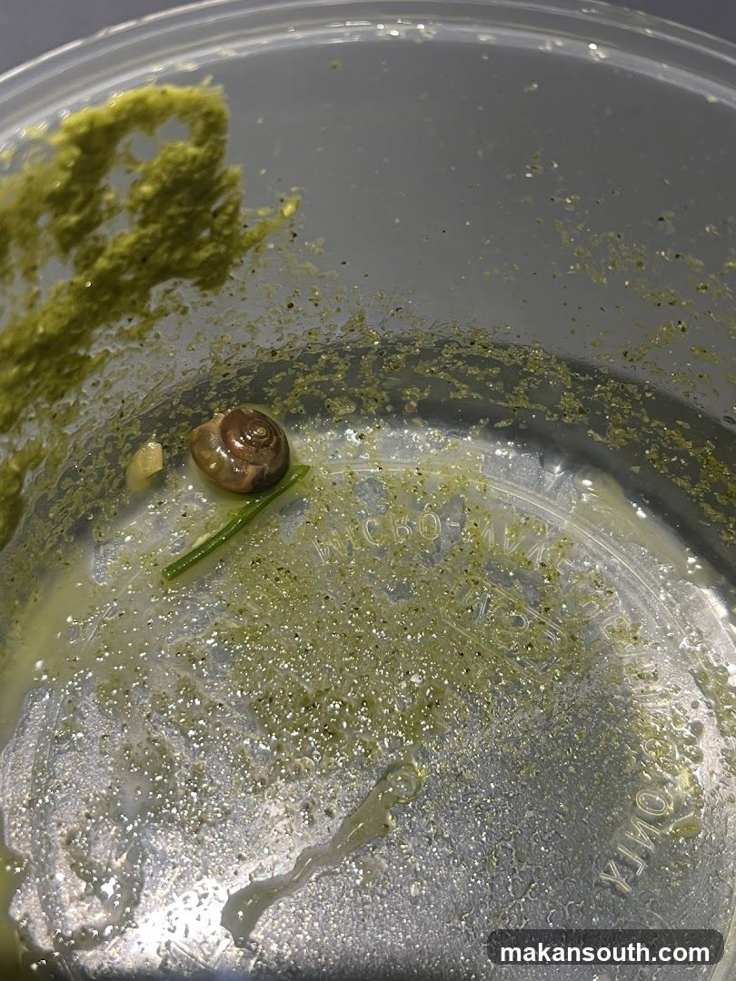 Snail in food container