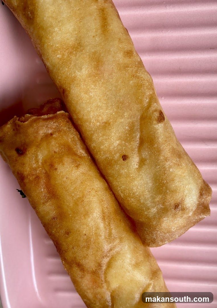 Fried Spring Rolls on Pink Plate