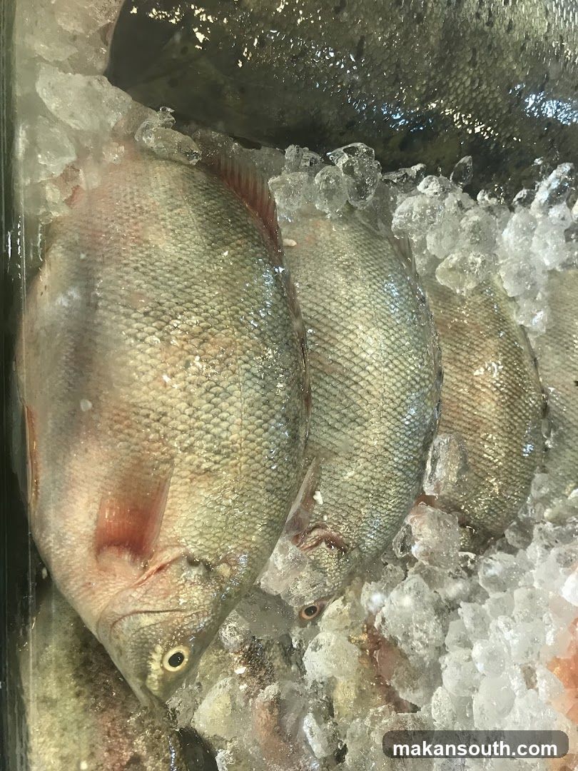 Fresh Fish on Ice
