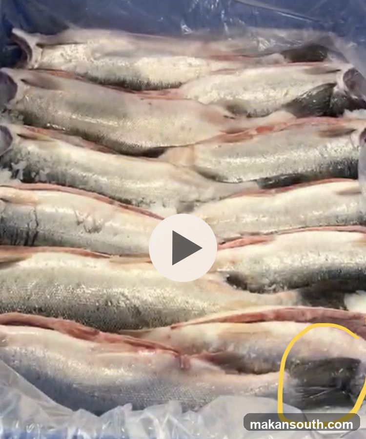 Frozen Fish