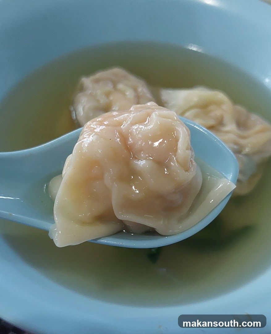 Wonton Soup