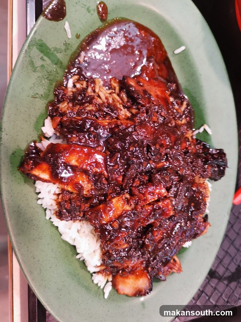 Sauced Meat Rice Dish