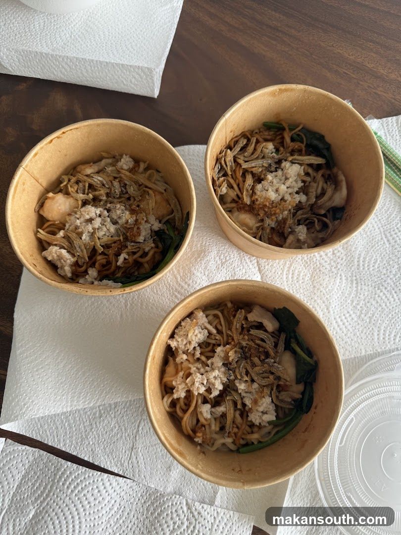 Three Bowls of Noodles with Toppings