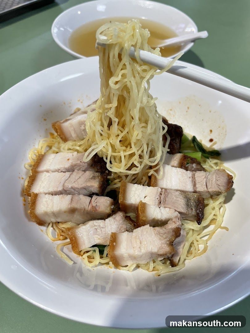 Pork Belly Noodles with Broth
