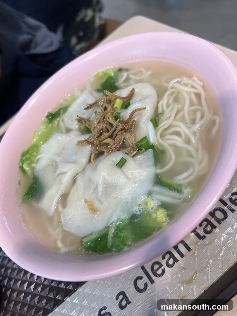 Wonton Noodle Soup Bowl
