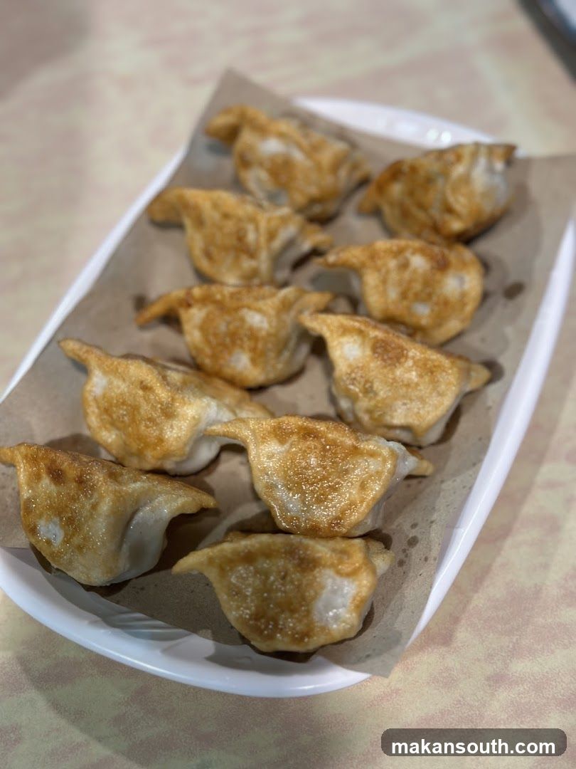 Pan-fried Dumplings on a Plate
