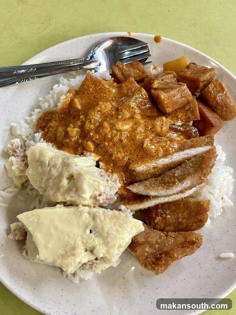 Curry Rice Plate with Fried Chicken and Tofu