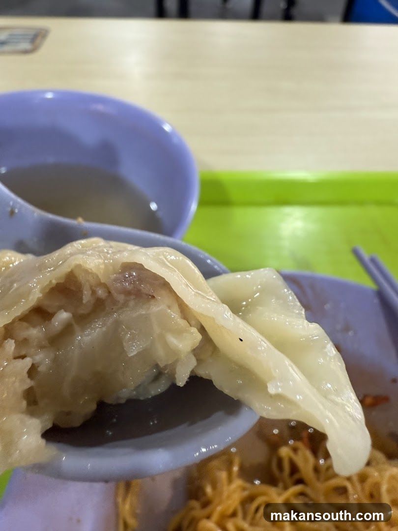 Dumpling and Noodles Meal