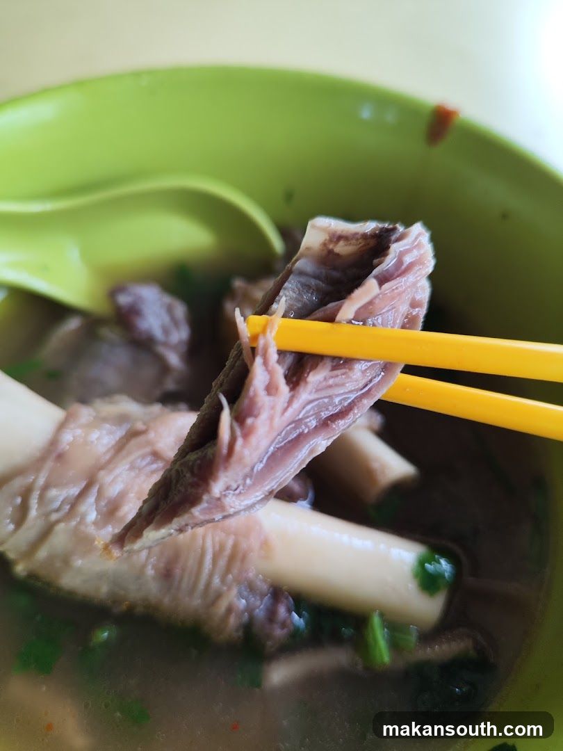 Bowl of Soup with Meat and Bone