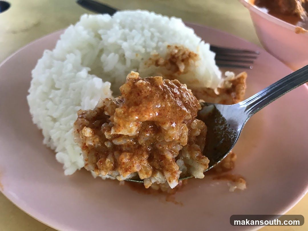 Curry Rice with Spoonful