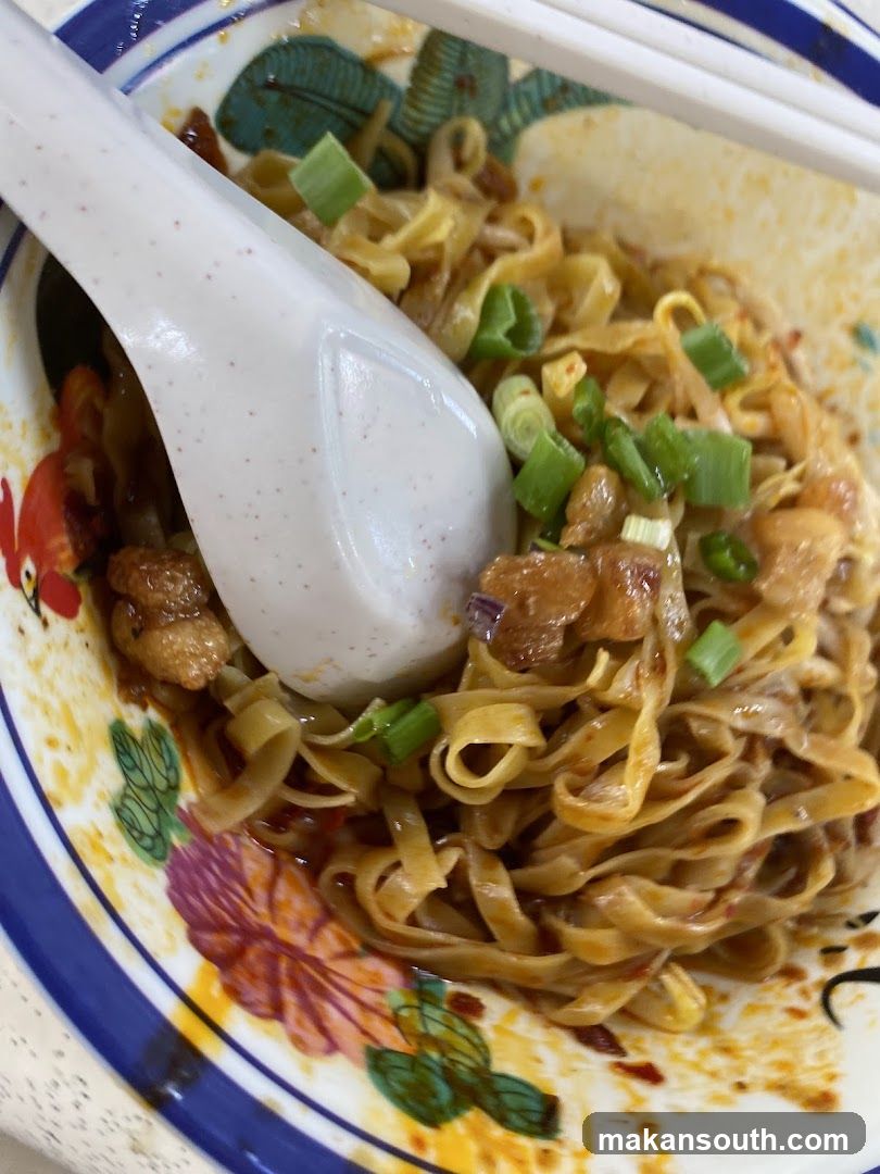 Noodle Bowl with Green Onions and Meat